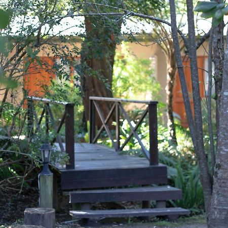 Andelomi Forest Lodge Stormsrivier Eksteriør billede