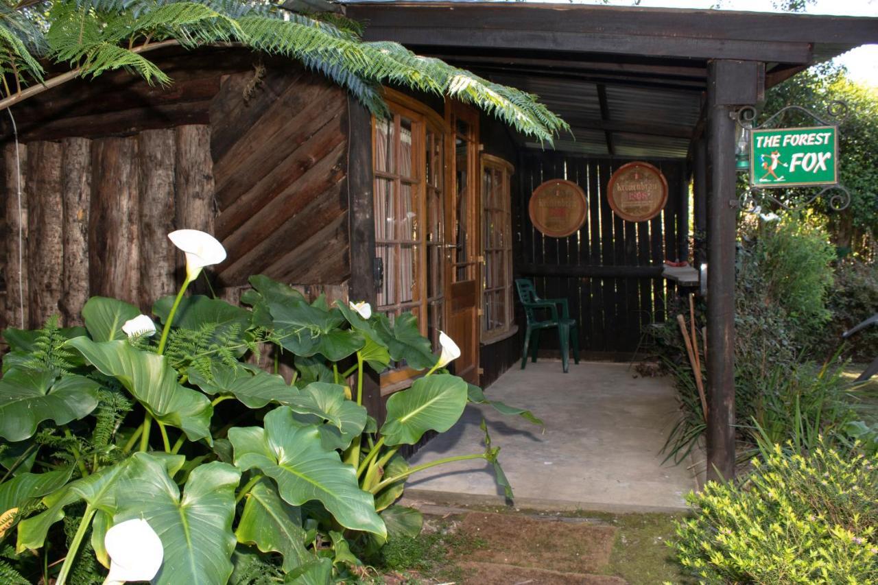 Andelomi Forest Lodge Stormsrivier Eksteriør billede