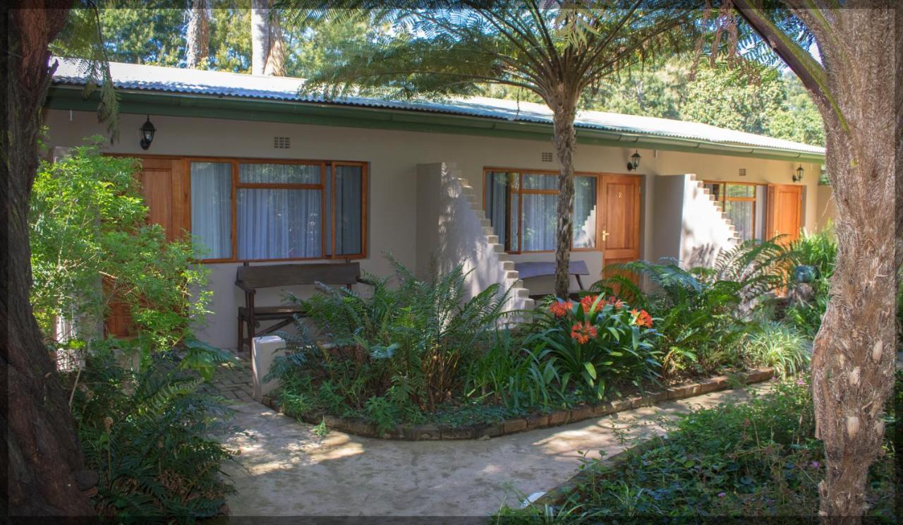 Andelomi Forest Lodge Stormsrivier Eksteriør billede