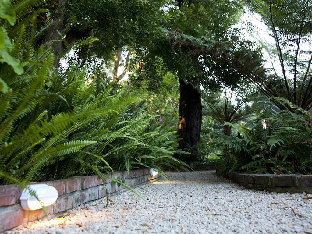 Andelomi Forest Lodge Stormsrivier Eksteriør billede