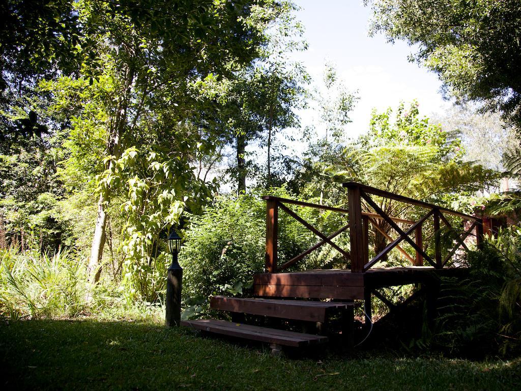 Andelomi Forest Lodge Stormsrivier Eksteriør billede