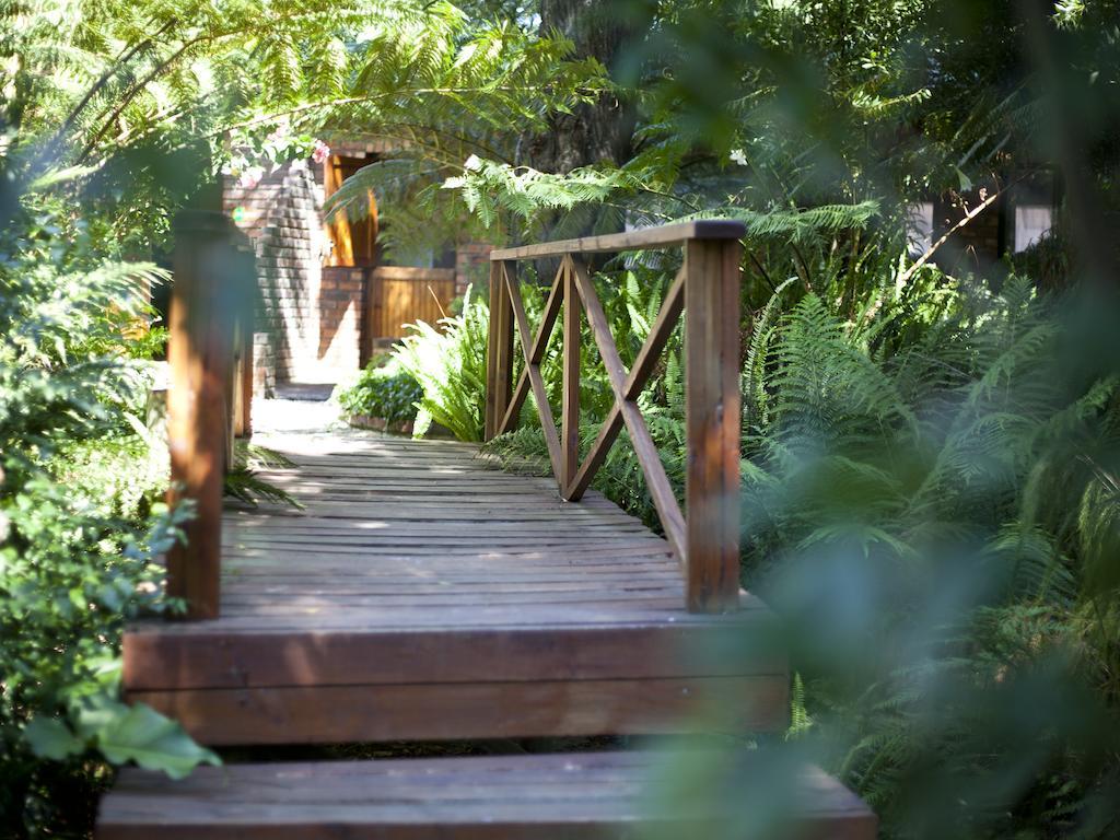 Andelomi Forest Lodge Stormsrivier Eksteriør billede