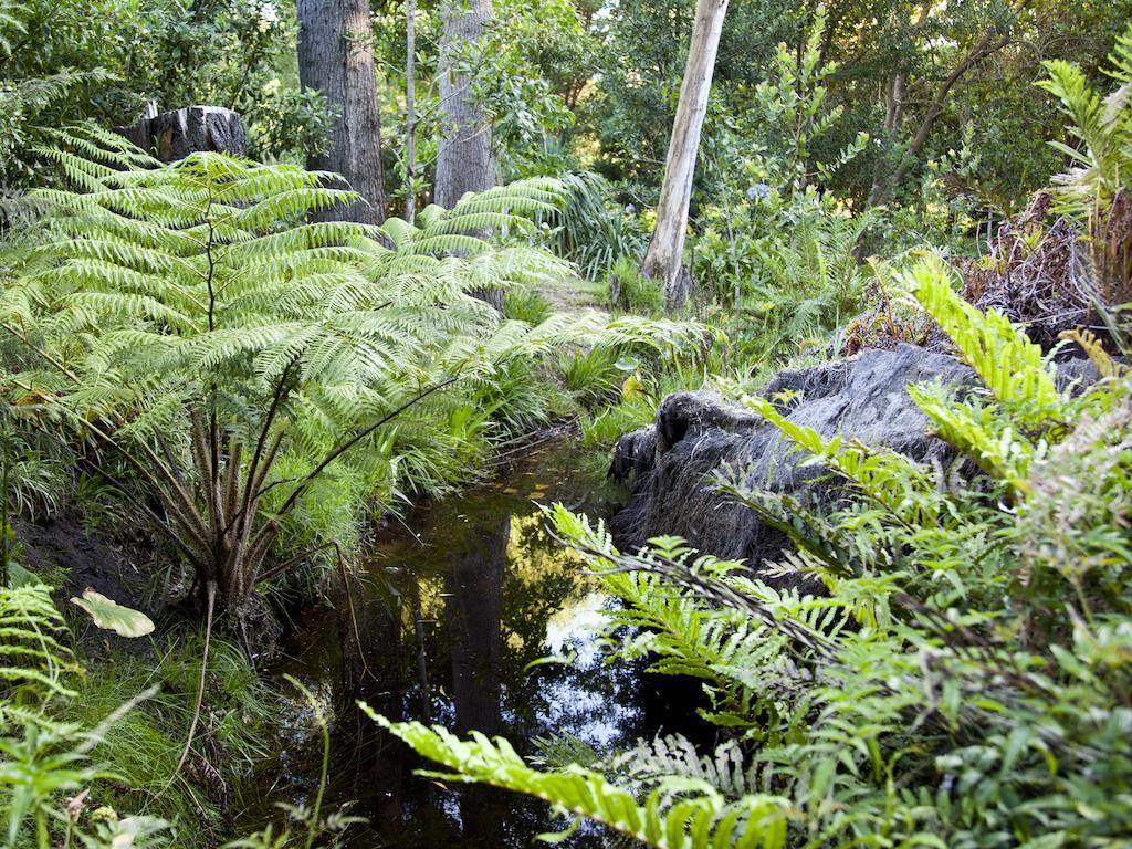 Andelomi Forest Lodge Stormsrivier Eksteriør billede
