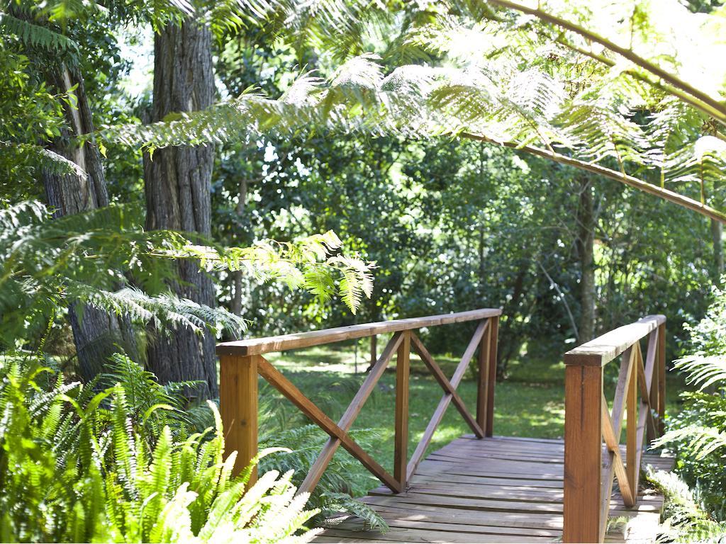 Andelomi Forest Lodge Stormsrivier Eksteriør billede