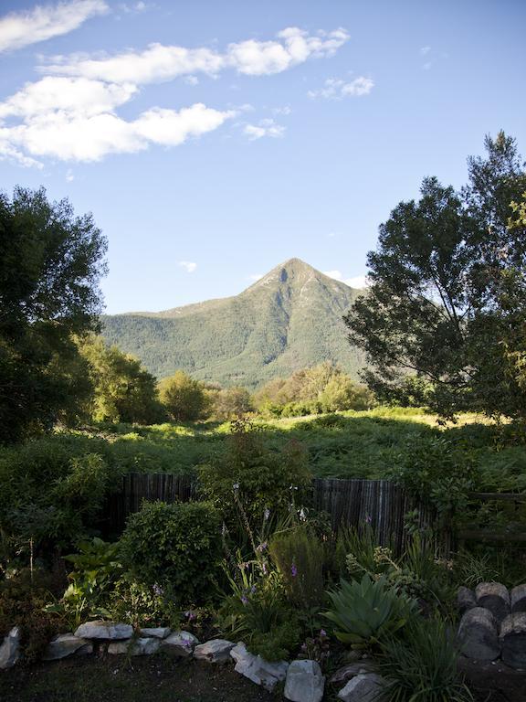 Andelomi Forest Lodge Stormsrivier Eksteriør billede